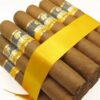Cohiba Robustos P/c- 25
